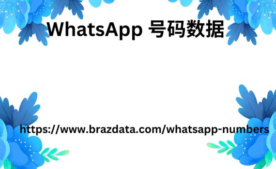 WhatsApp 号码数据